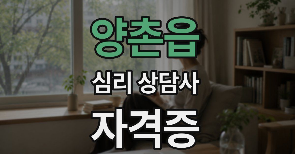 양촌읍 심리 상담사 자격증