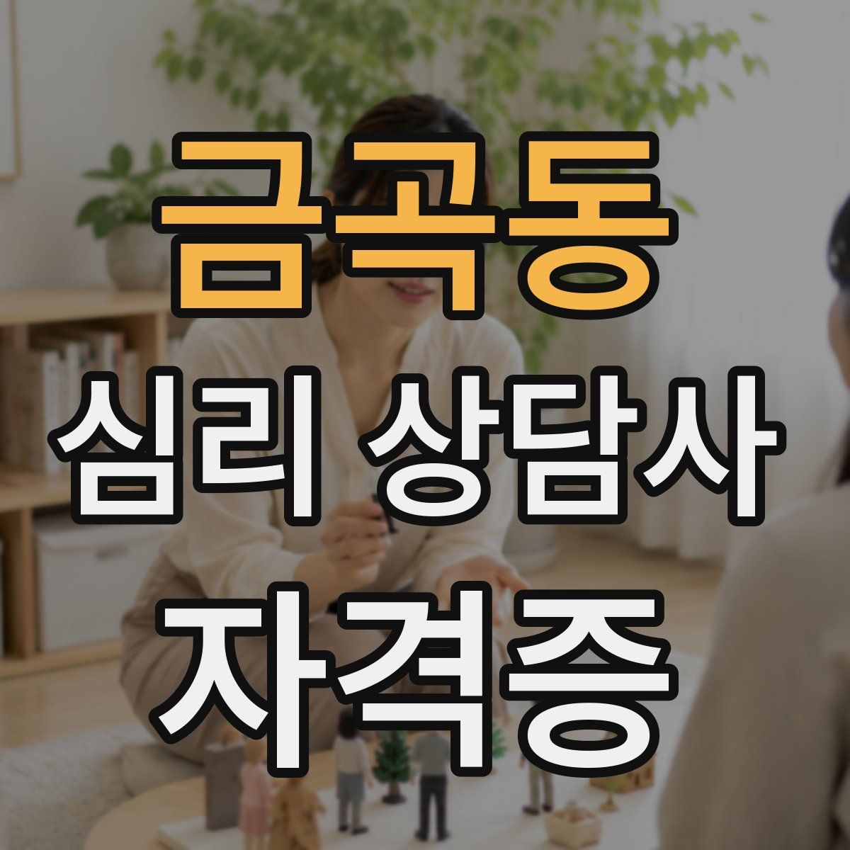 금곡동 심리 상담사 자격증