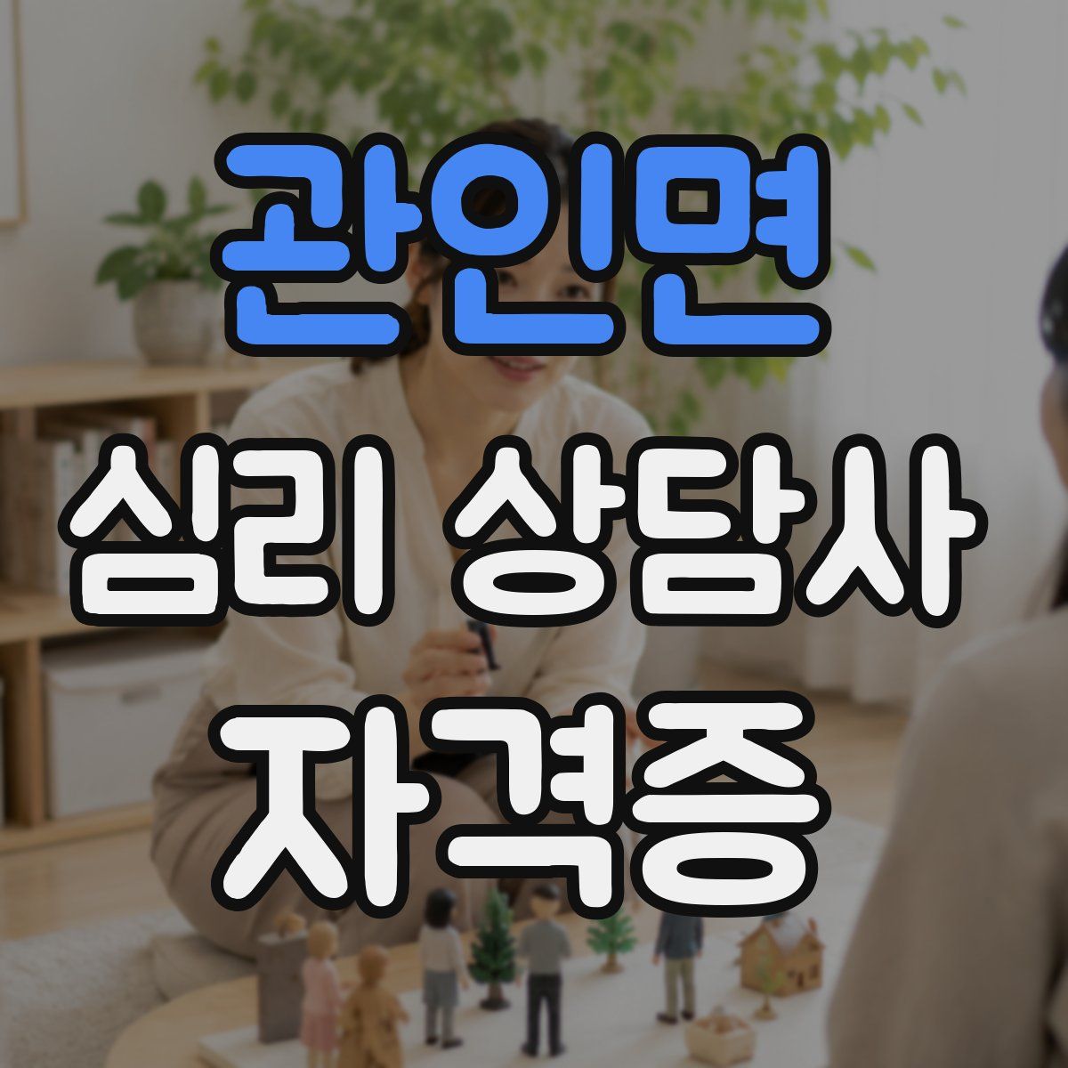 관인면 심리 상담사 자격증
