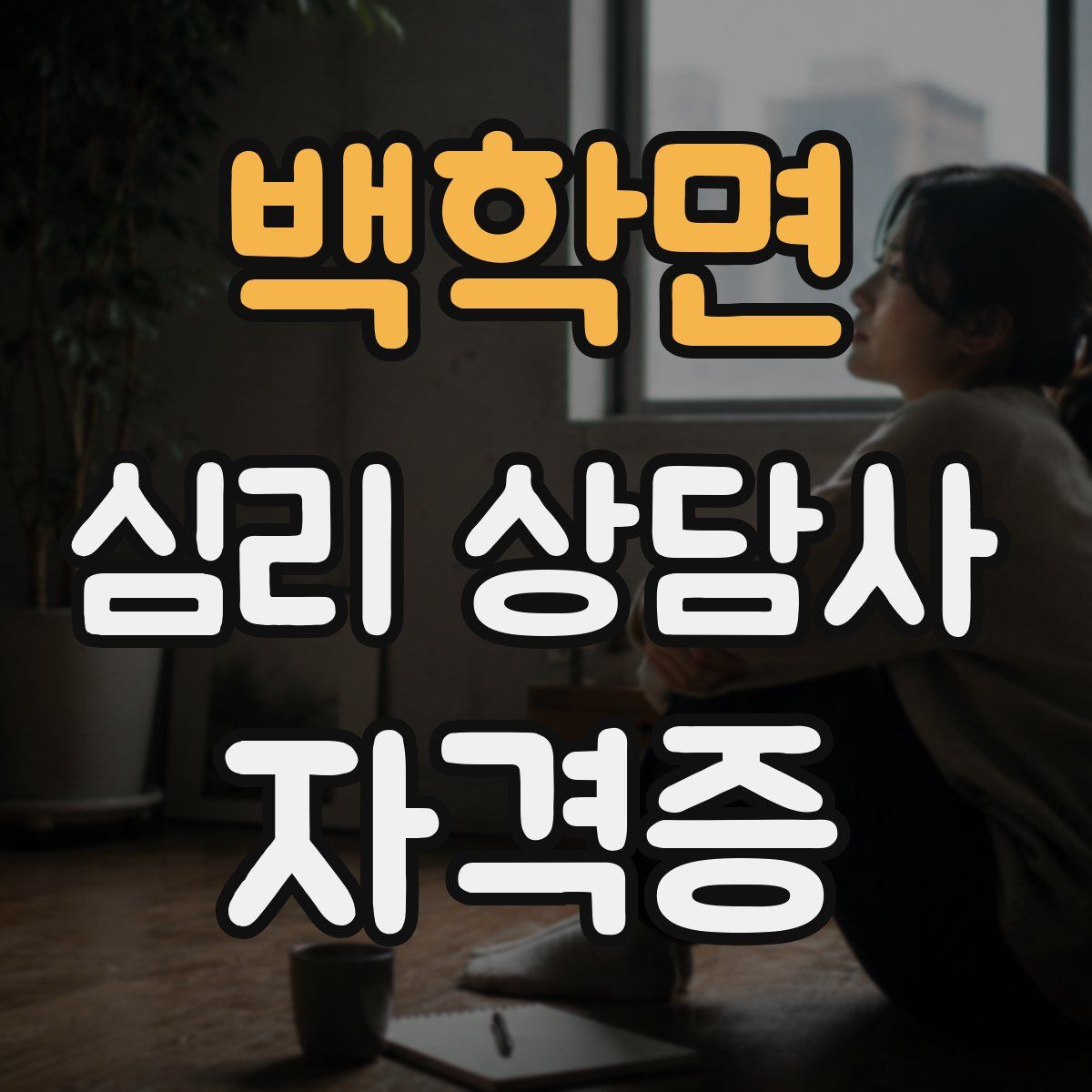 백학면 심리 상담사 자격증