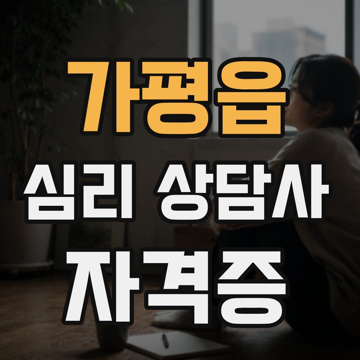 가평읍 심리 상담사 자격증