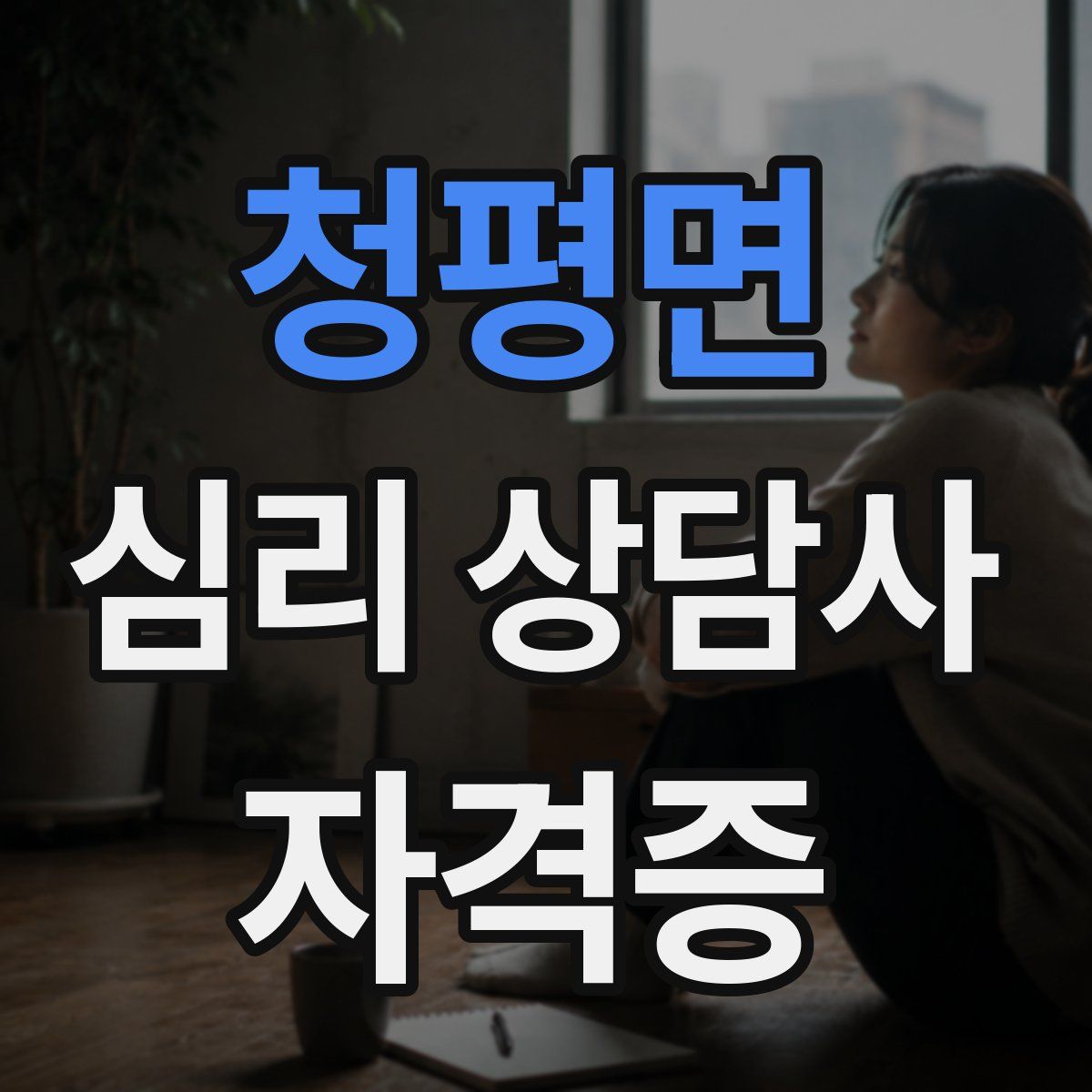 청평면 심리 상담사 자격증