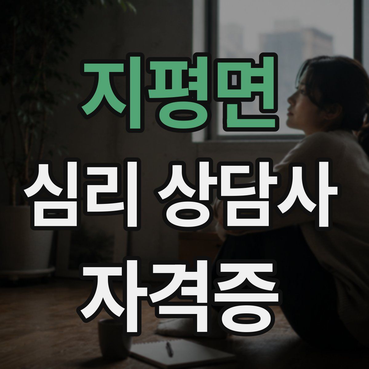 지평면 심리 상담사 자격증