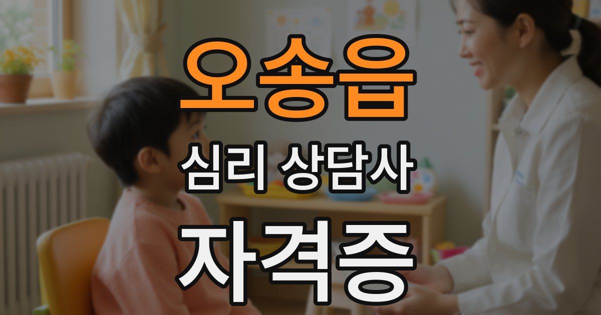 오송읍 심리 상담사 자격증