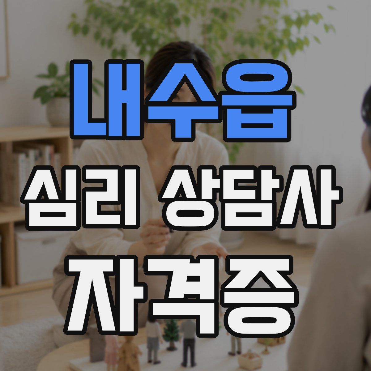 내수읍 심리 상담사 자격증