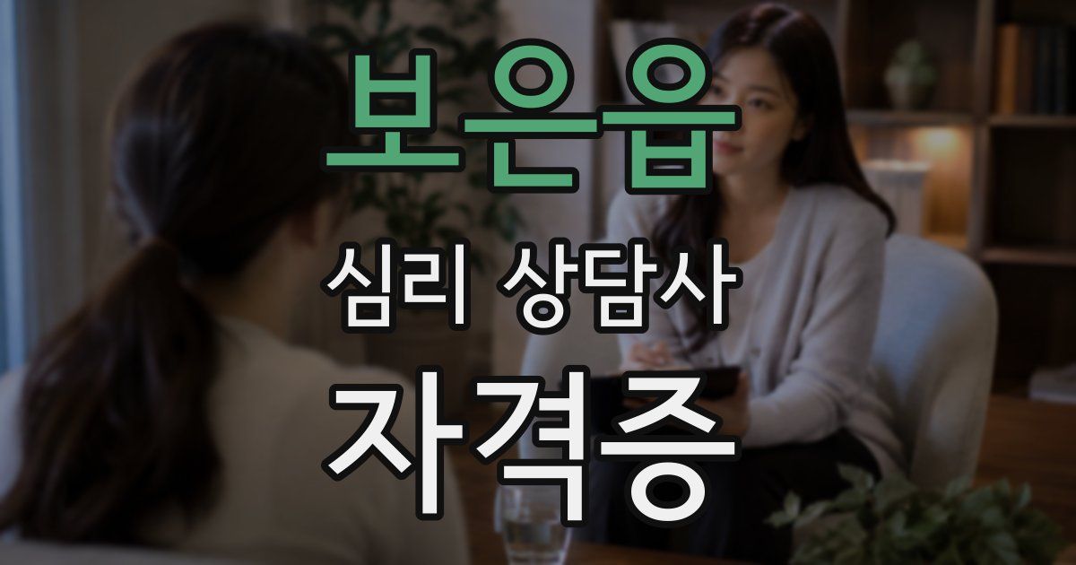 보은읍 심리 상담사 자격증