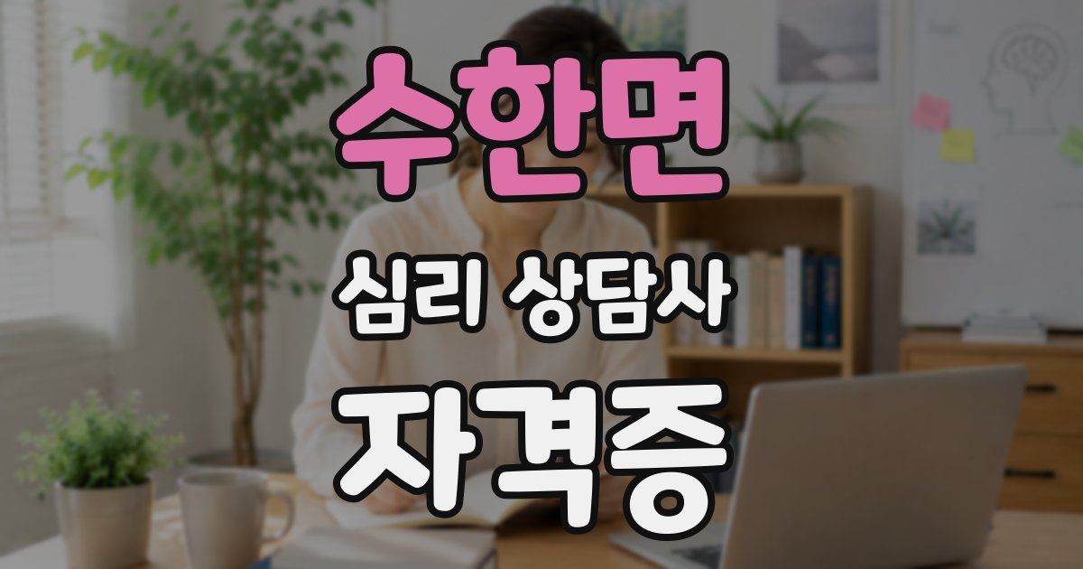 수한면 심리 상담사 자격증