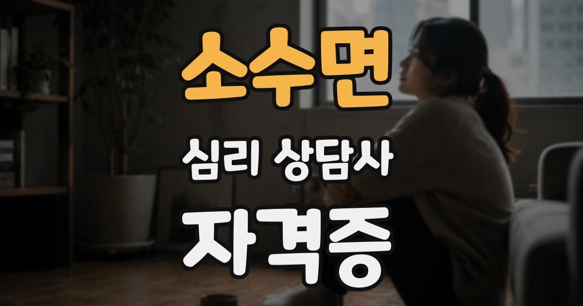 소수면 심리 상담사 자격증