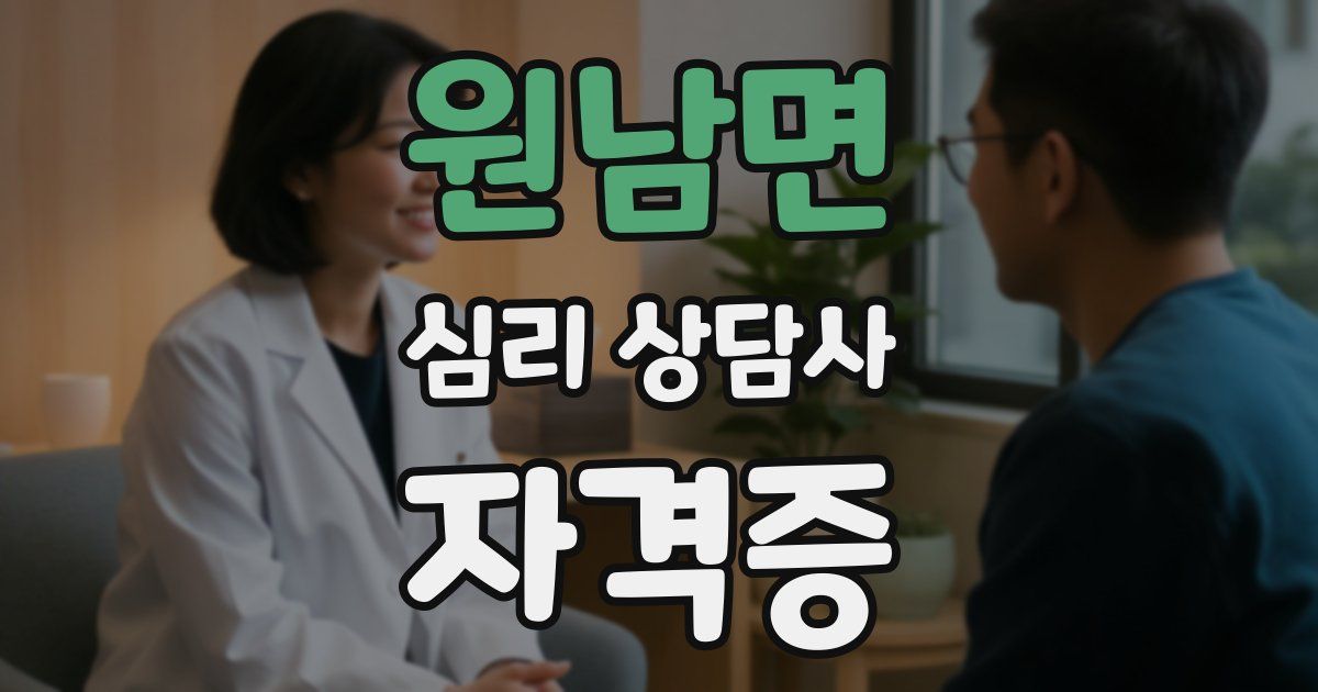 원남면 심리 상담사 자격증