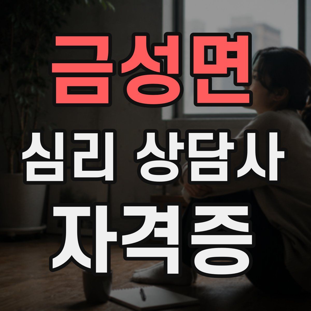 금성면 심리 상담사 자격증