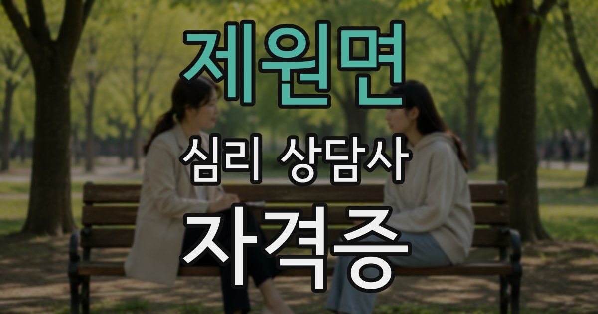 제원면 심리 상담사 자격증