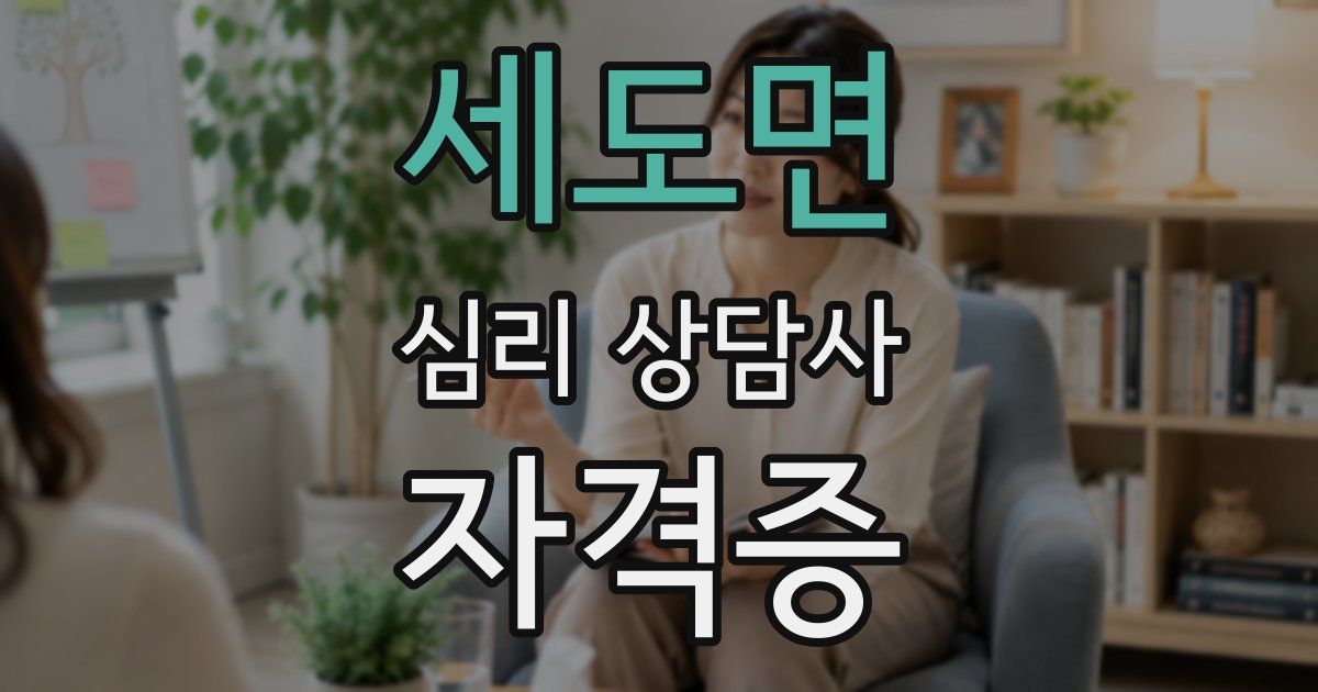 세도면 심리 상담사 자격증