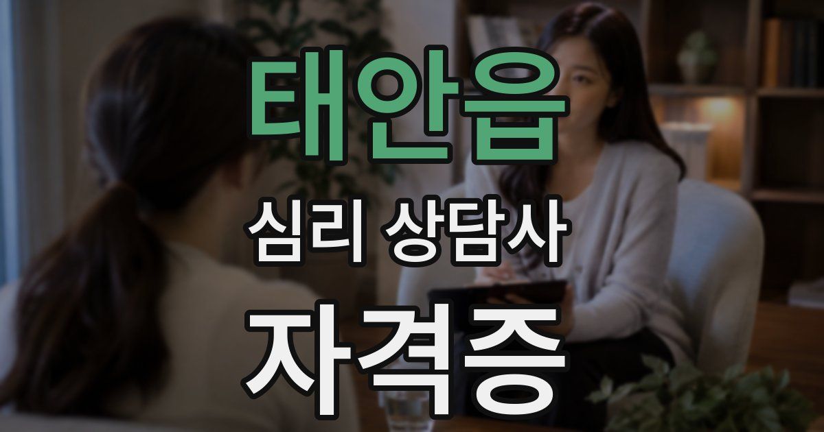 태안읍 심리 상담사 자격증