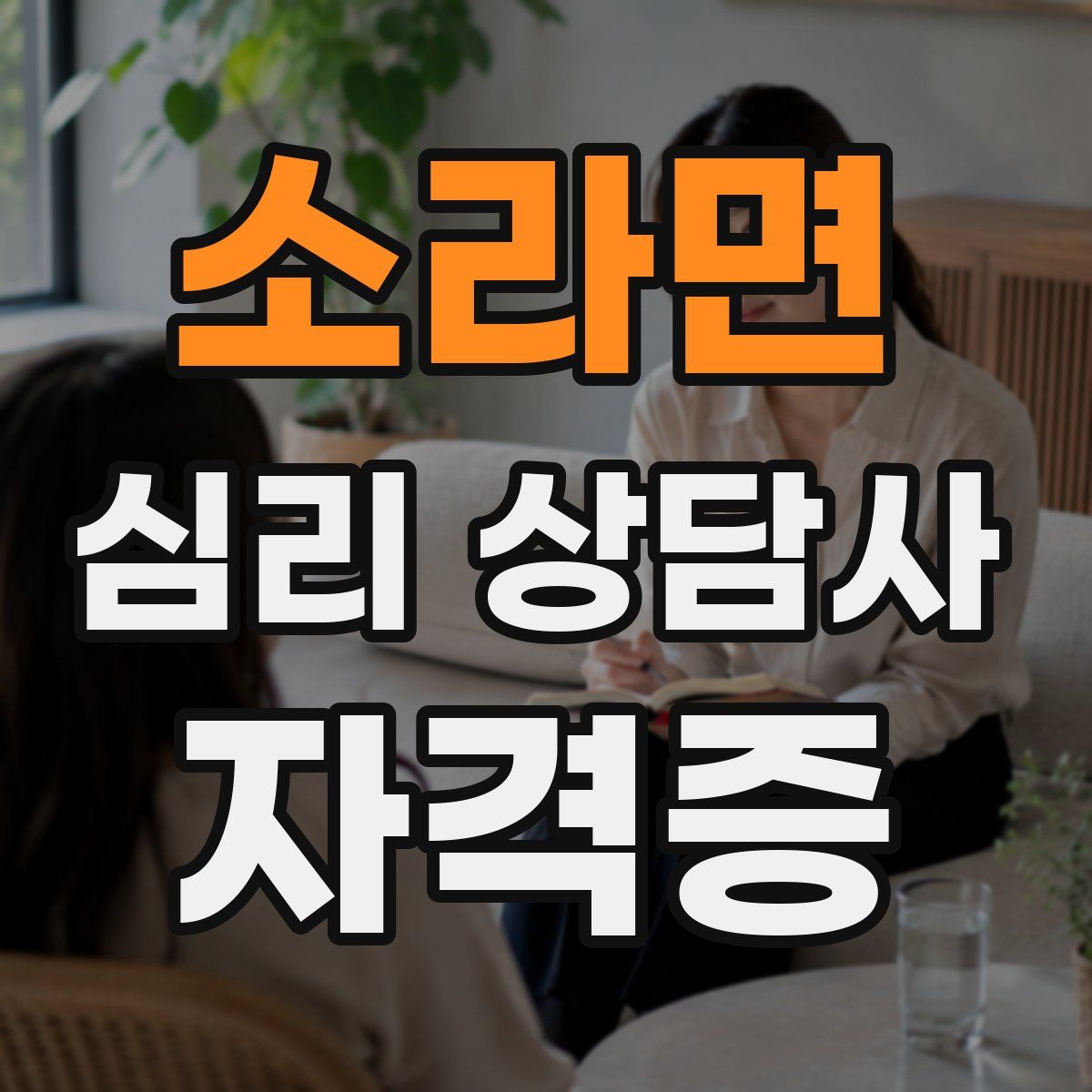 소라면 심리 상담사 자격증