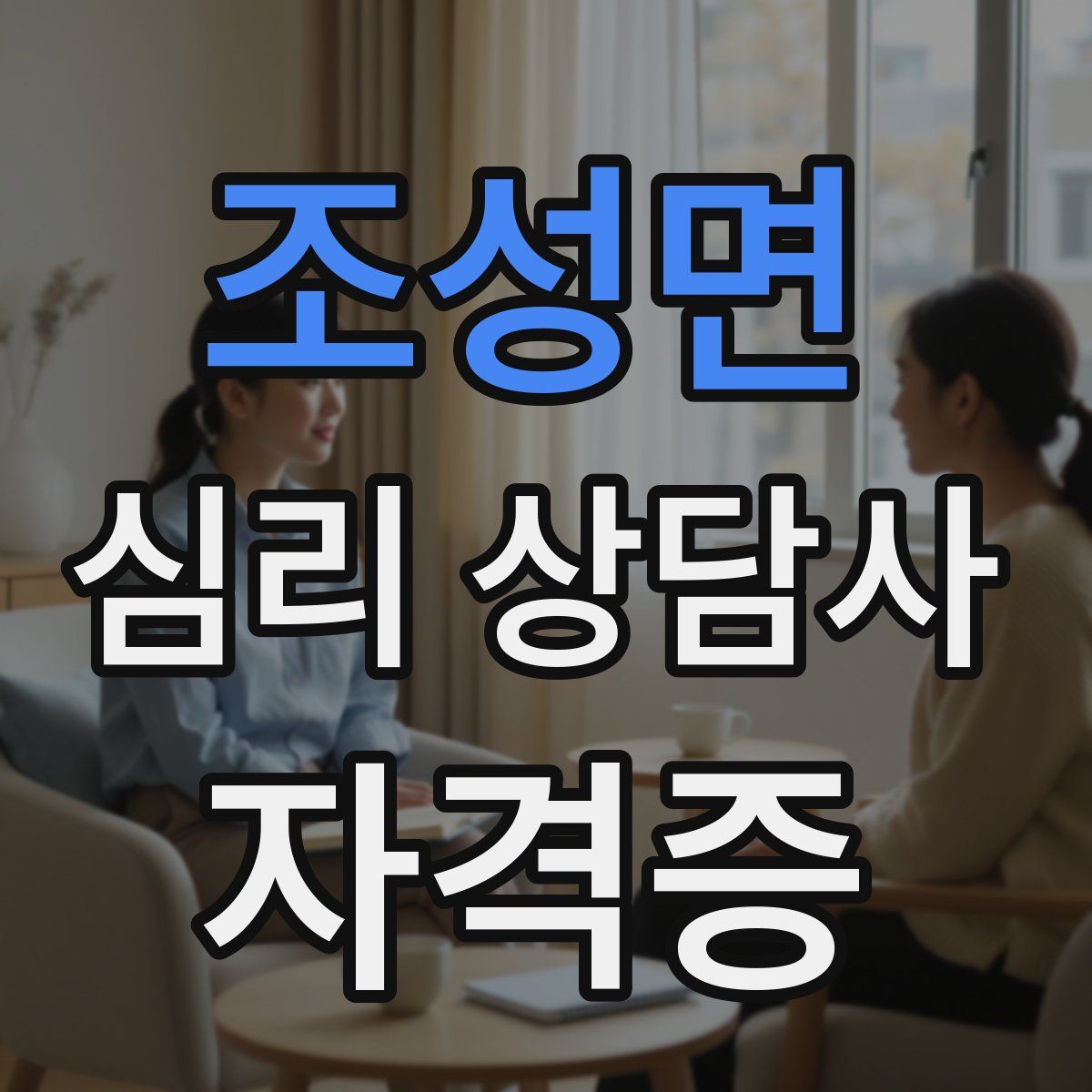 조성면 심리 상담사 자격증