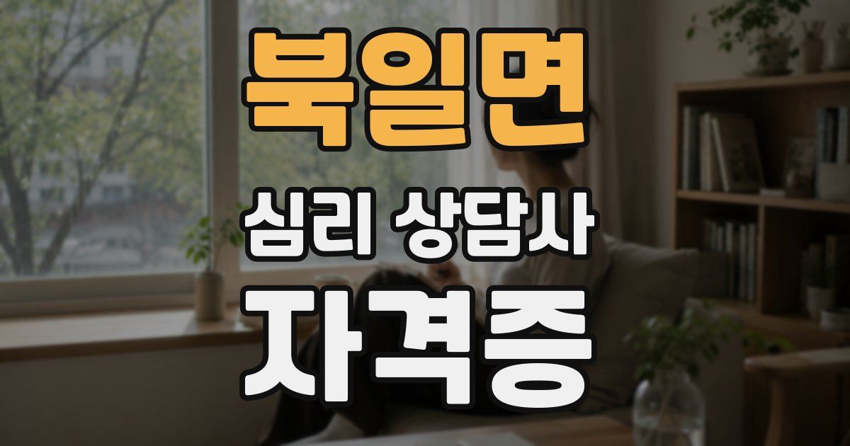 북일면 심리 상담사 자격증