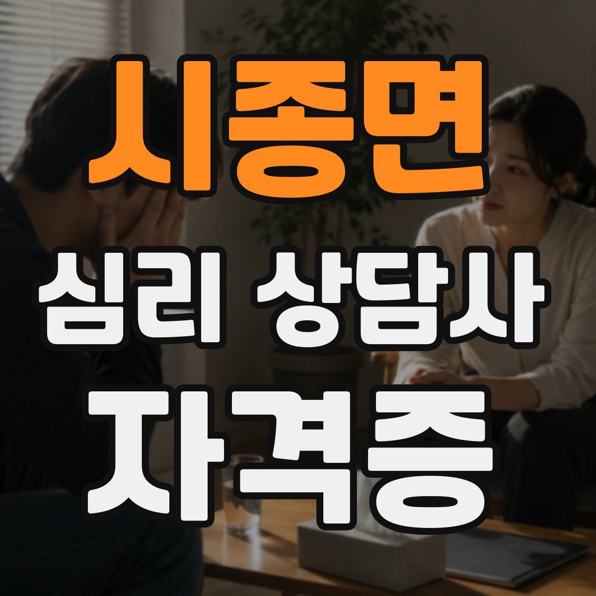 시종면 심리 상담사 자격증
