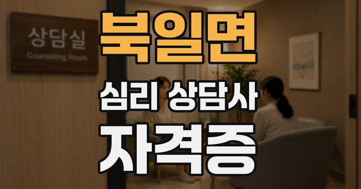 북일면 심리 상담사 자격증