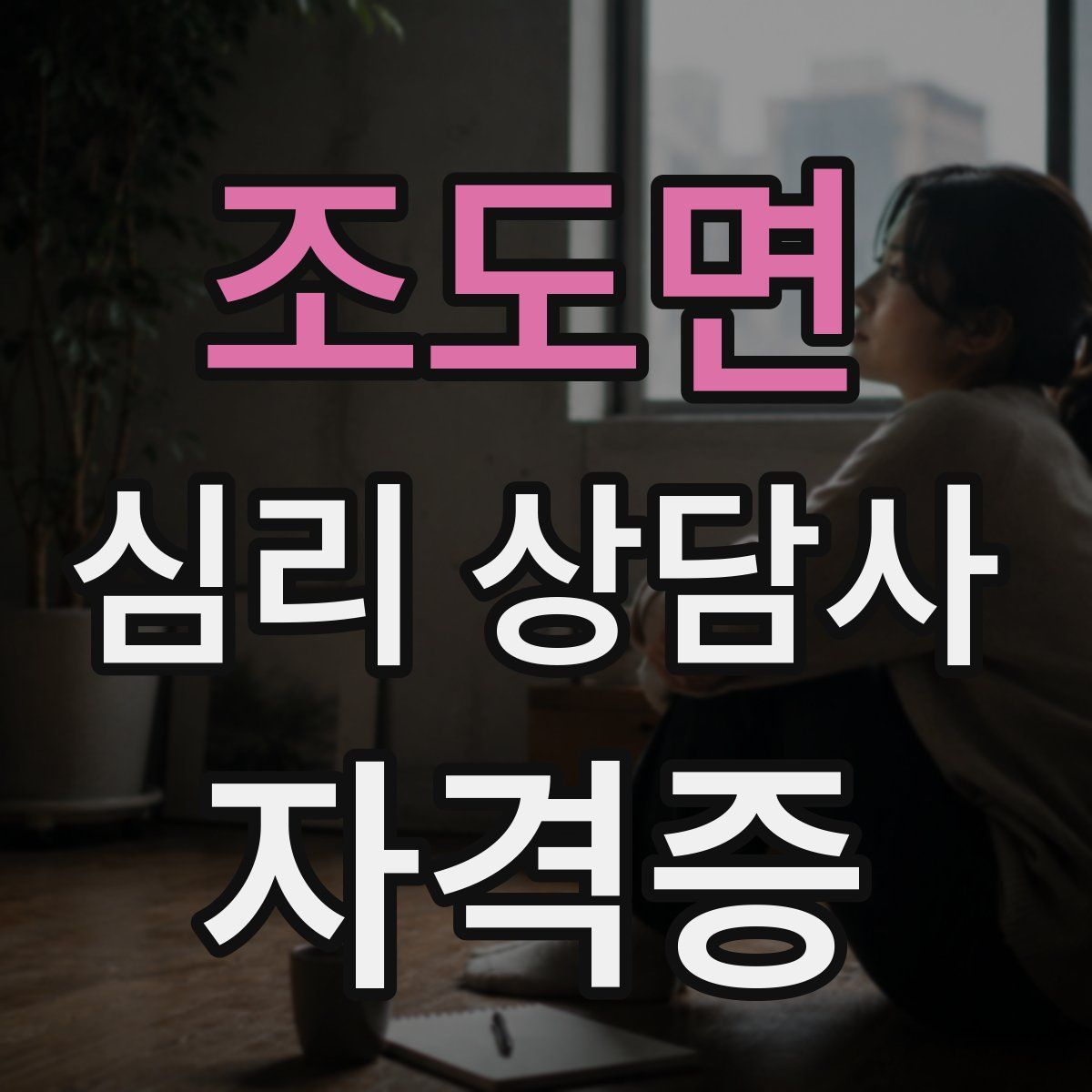 조도면 심리 상담사 자격증
