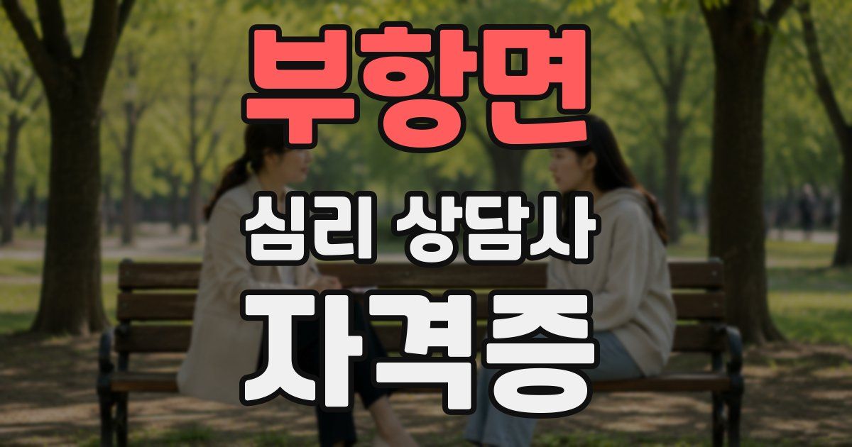 부항면 심리 상담사 자격증