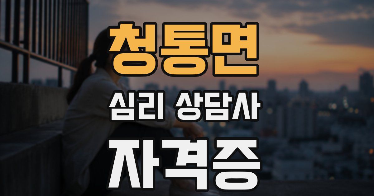 청통면 심리 상담사 자격증