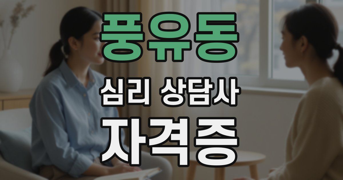 풍유동 심리 상담사 자격증