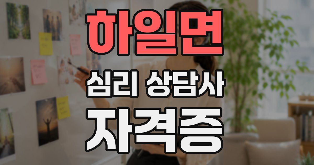 하일면 심리 상담사 자격증