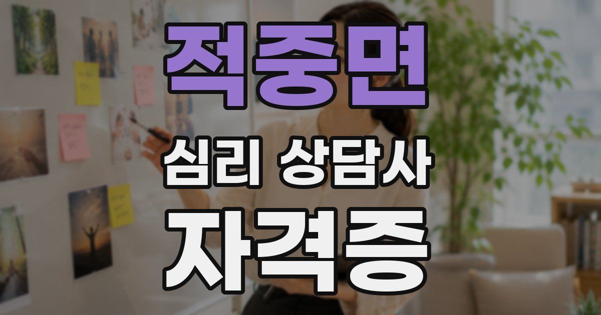 적중면 심리 상담사 자격증