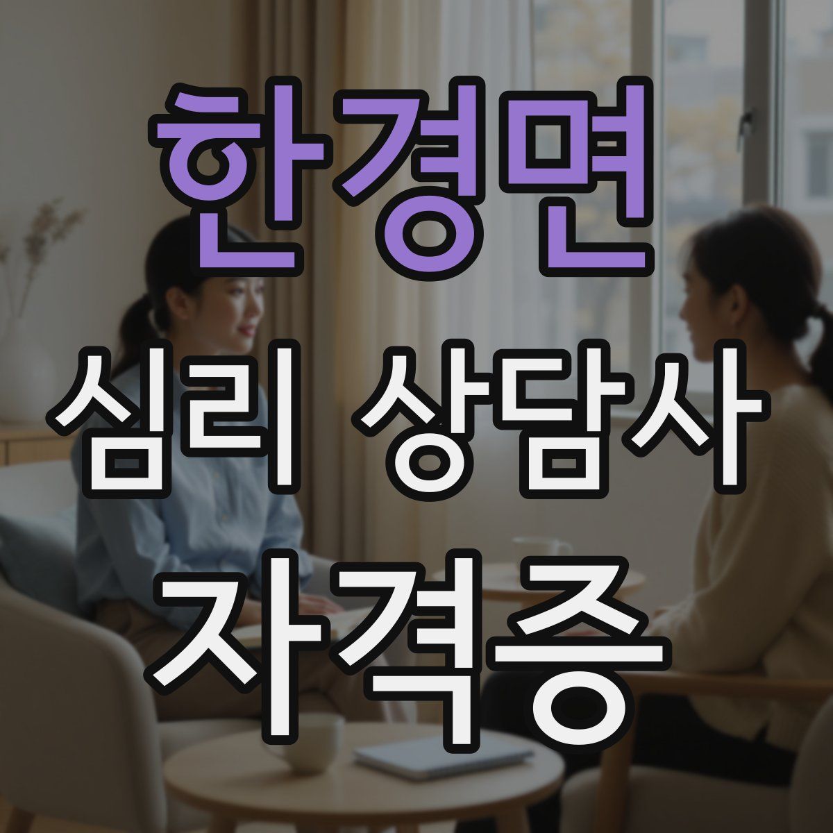 한경면 심리 상담사 자격증