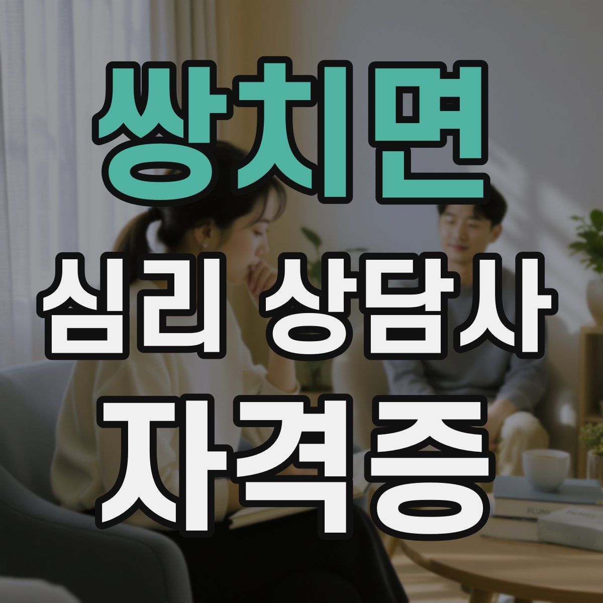 쌍치면 심리 상담사 자격증