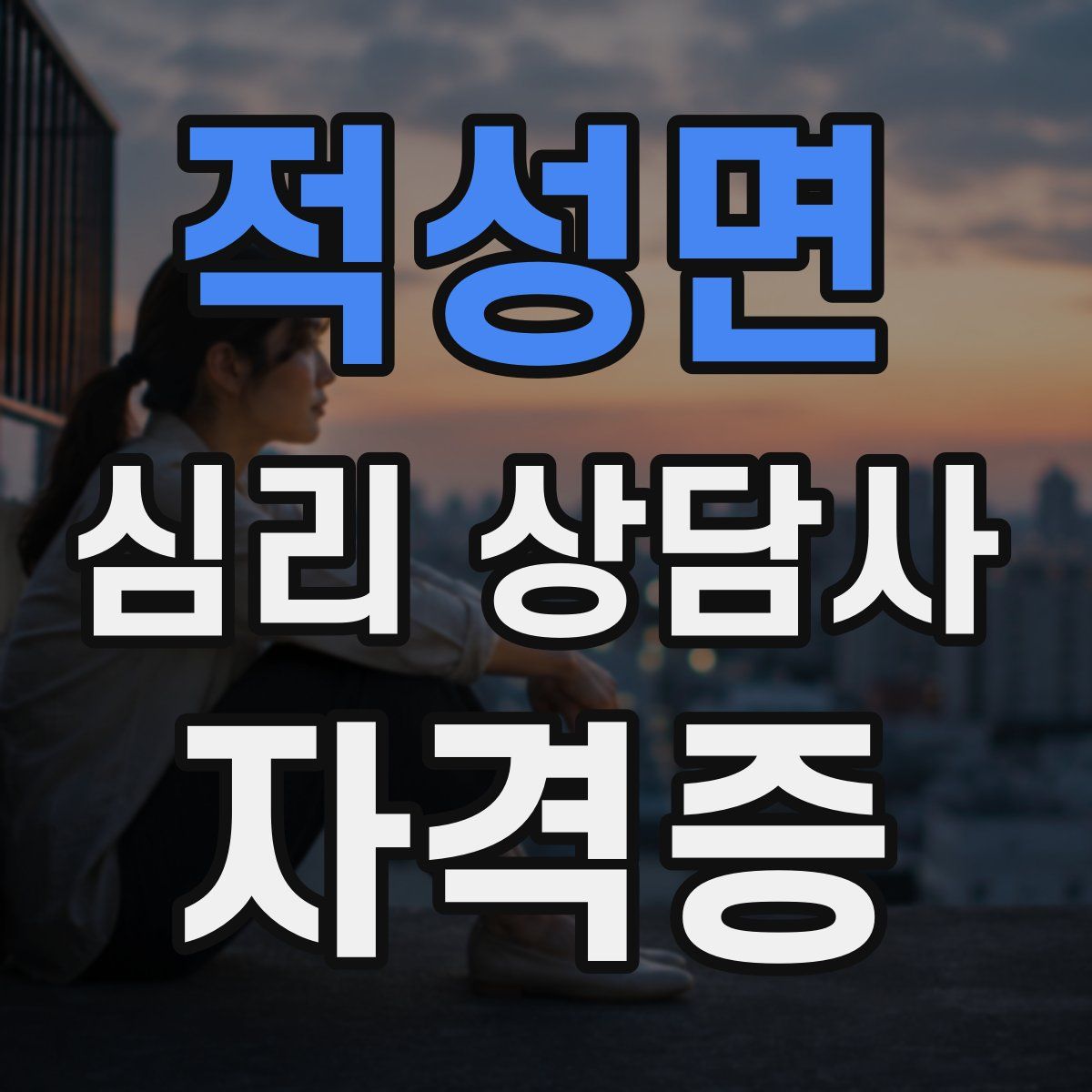 적성면 심리 상담사 자격증