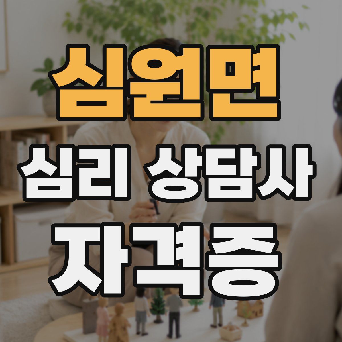 심원면 심리 상담사 자격증