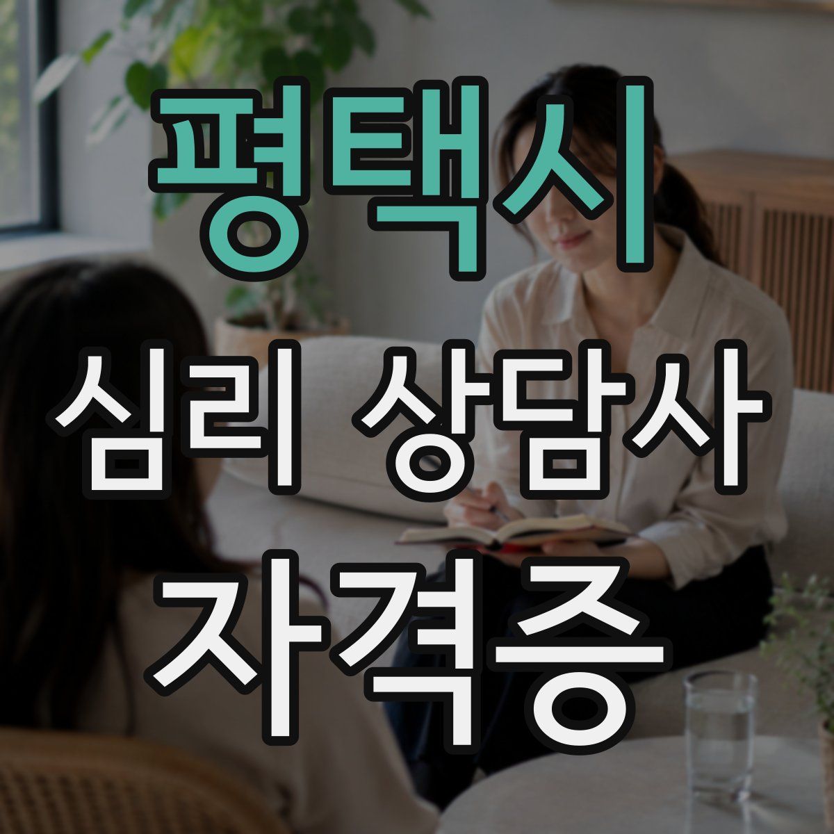 평택시 심리 상담사 자격증
