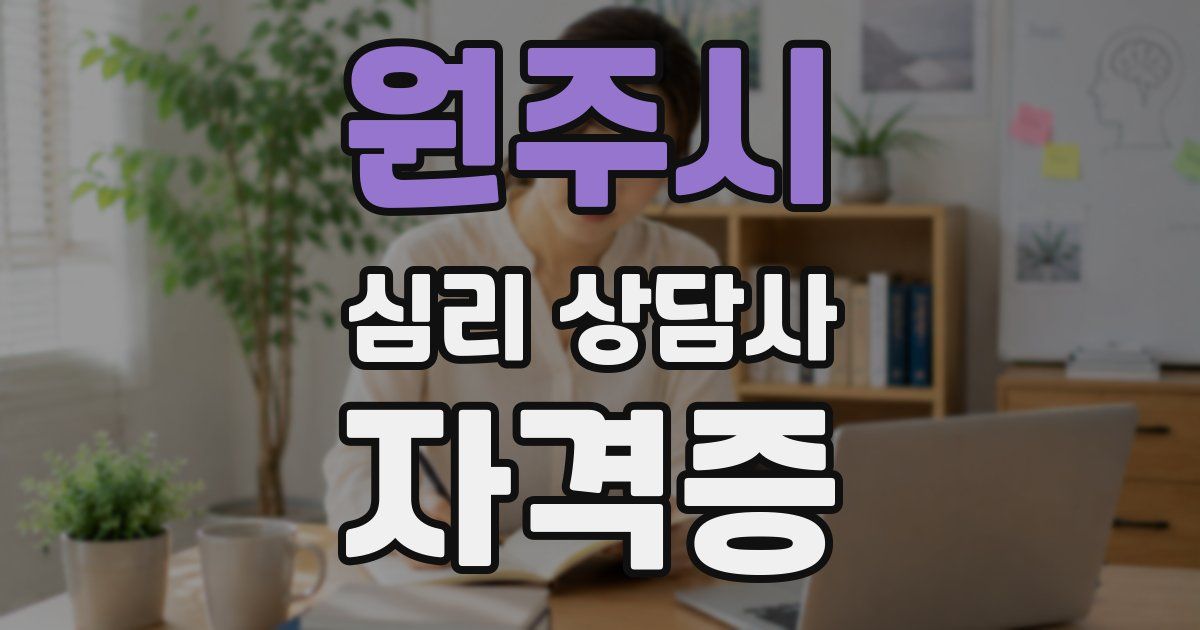 원주시 심리 상담사 자격증