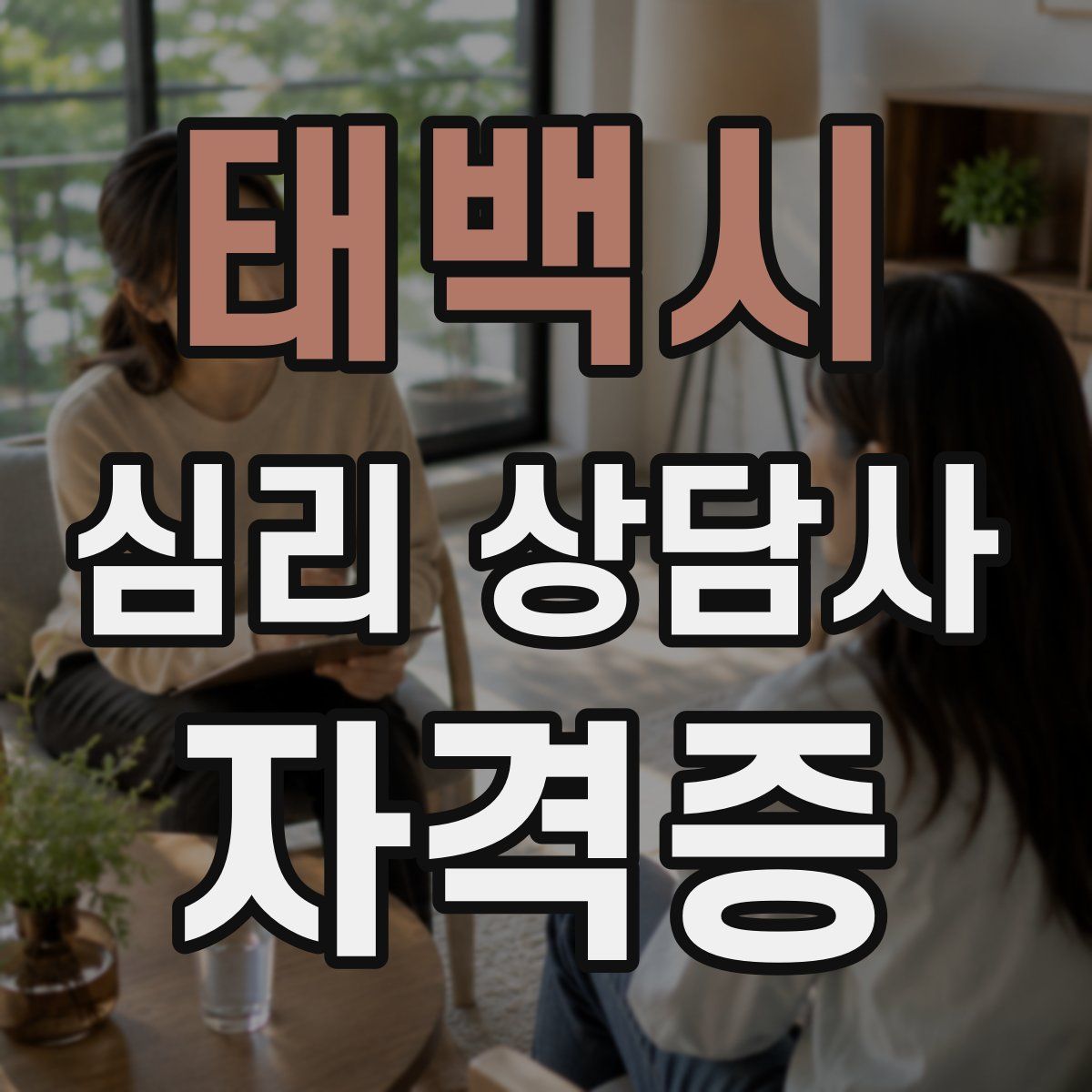 태백시 심리 상담사 자격증