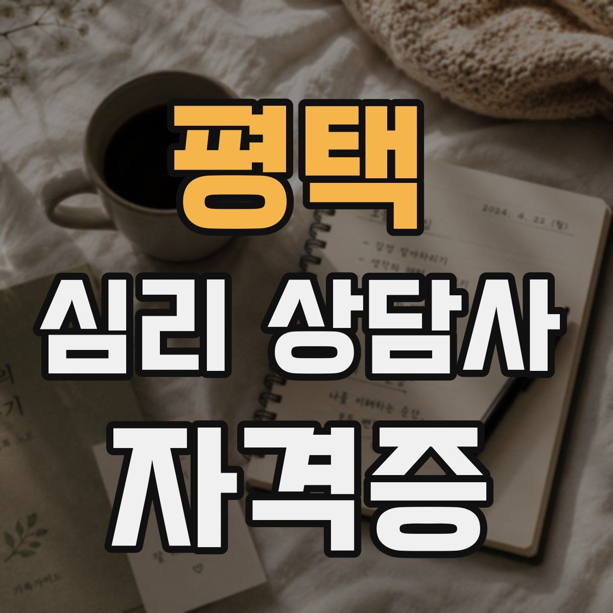 평택 심리 상담사 자격증