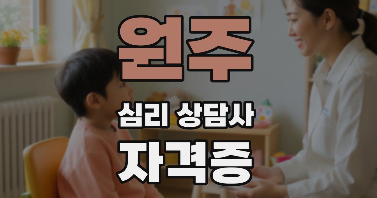 원주 심리 상담사 자격증