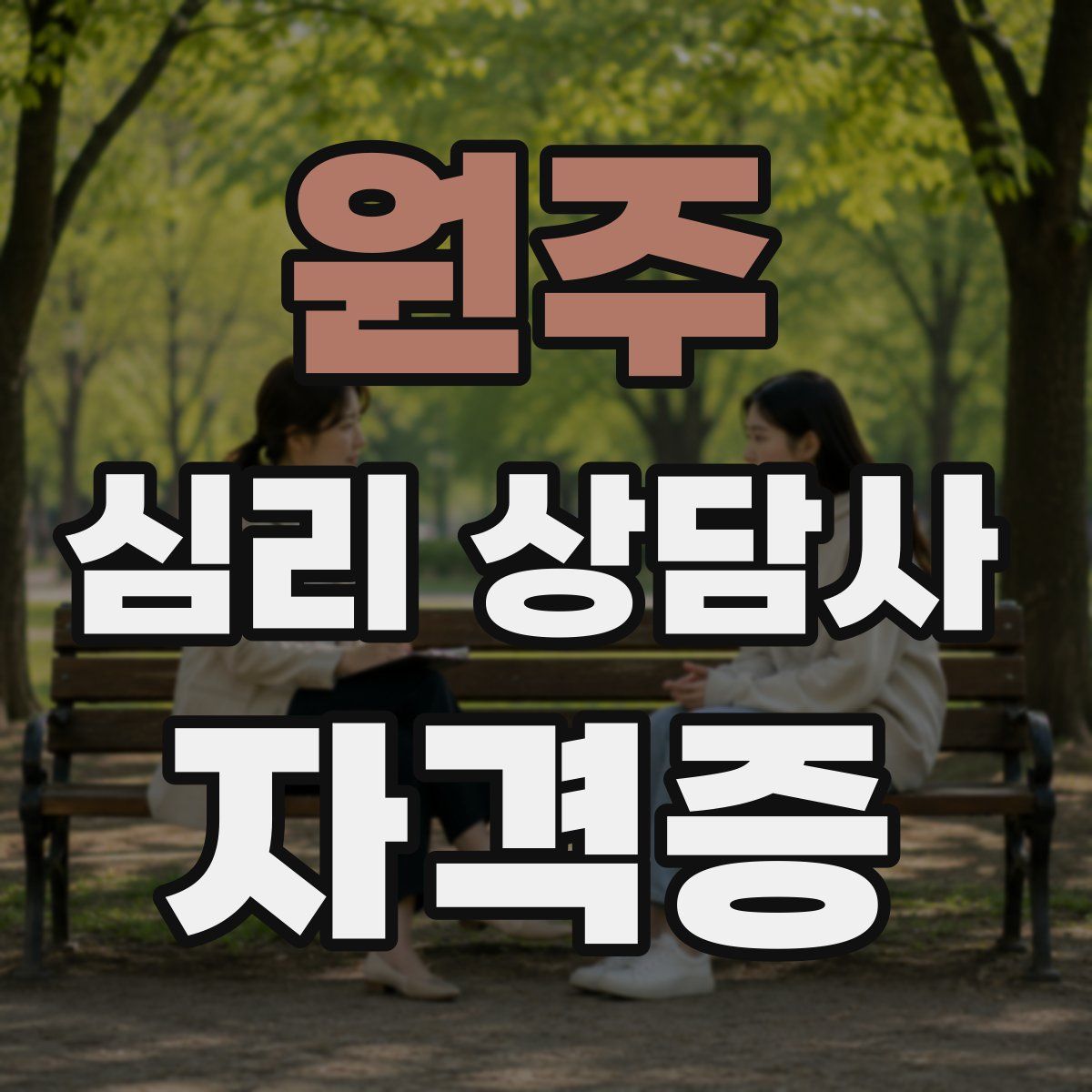 원주 심리 상담사 자격증
