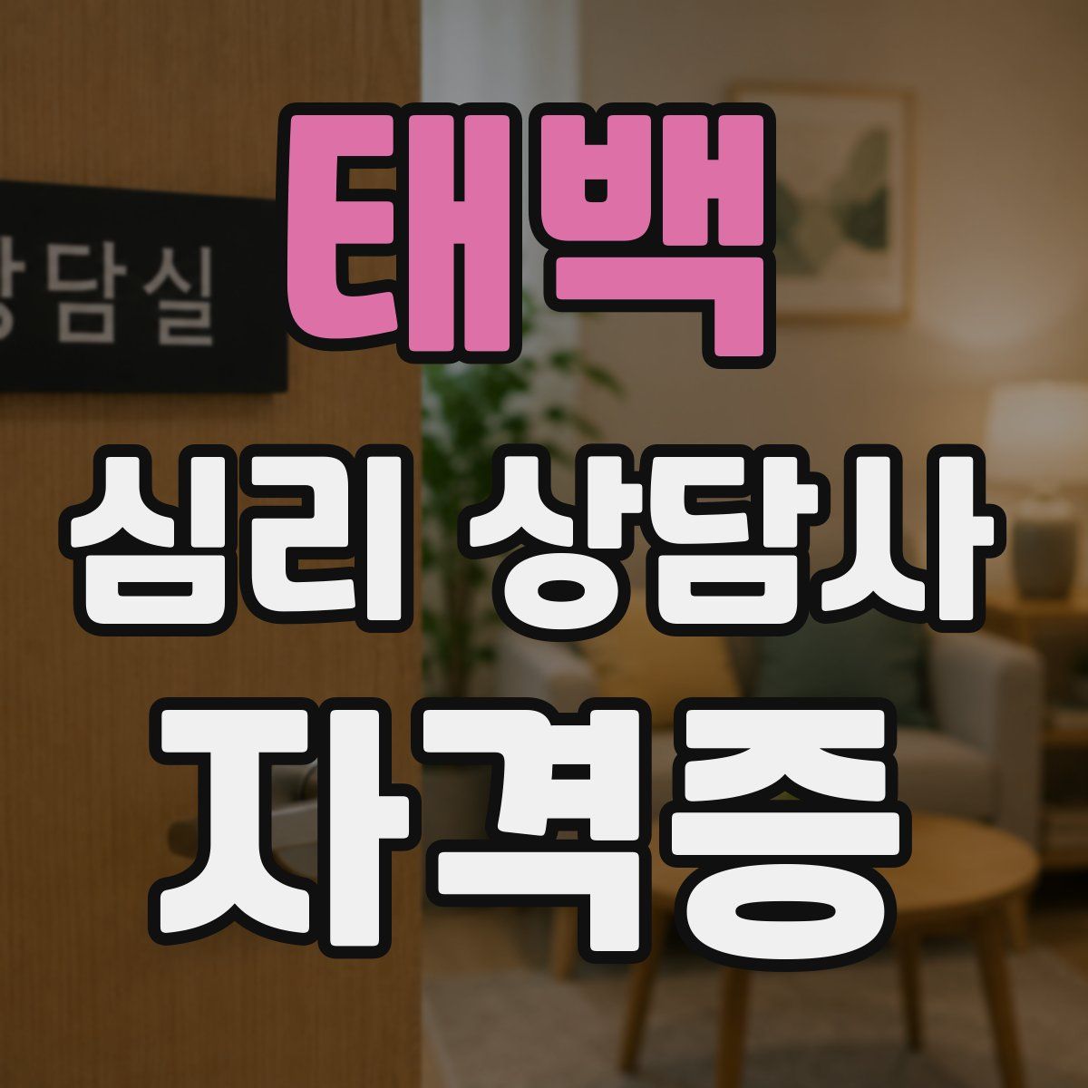 태백 심리 상담사 자격증