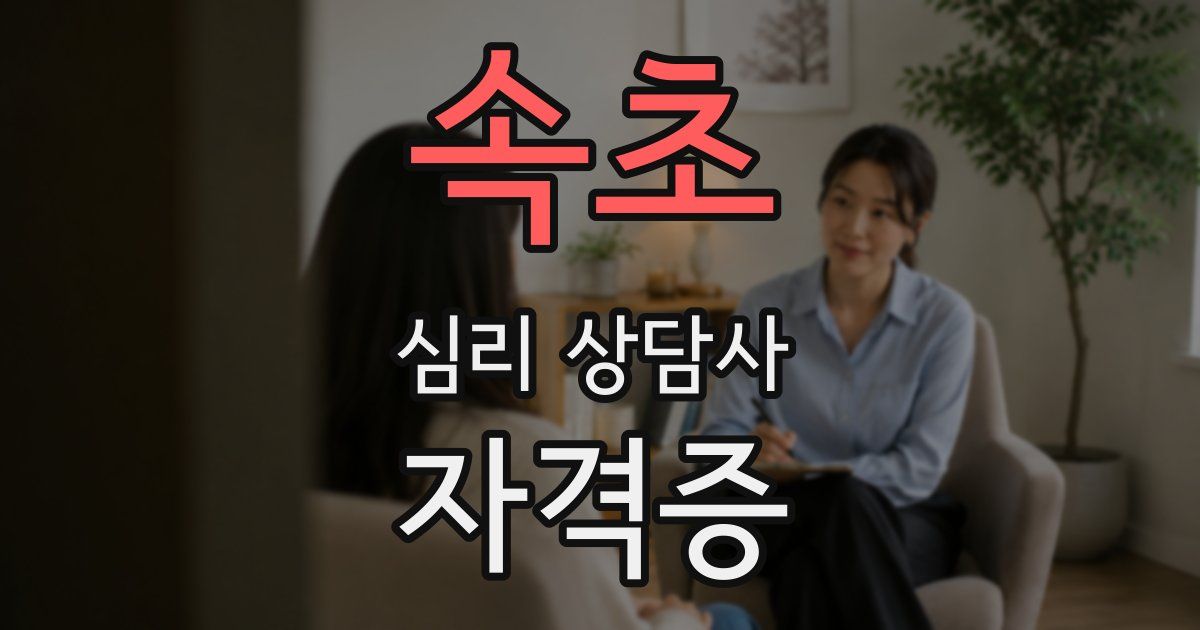 속초 심리 상담사 자격증