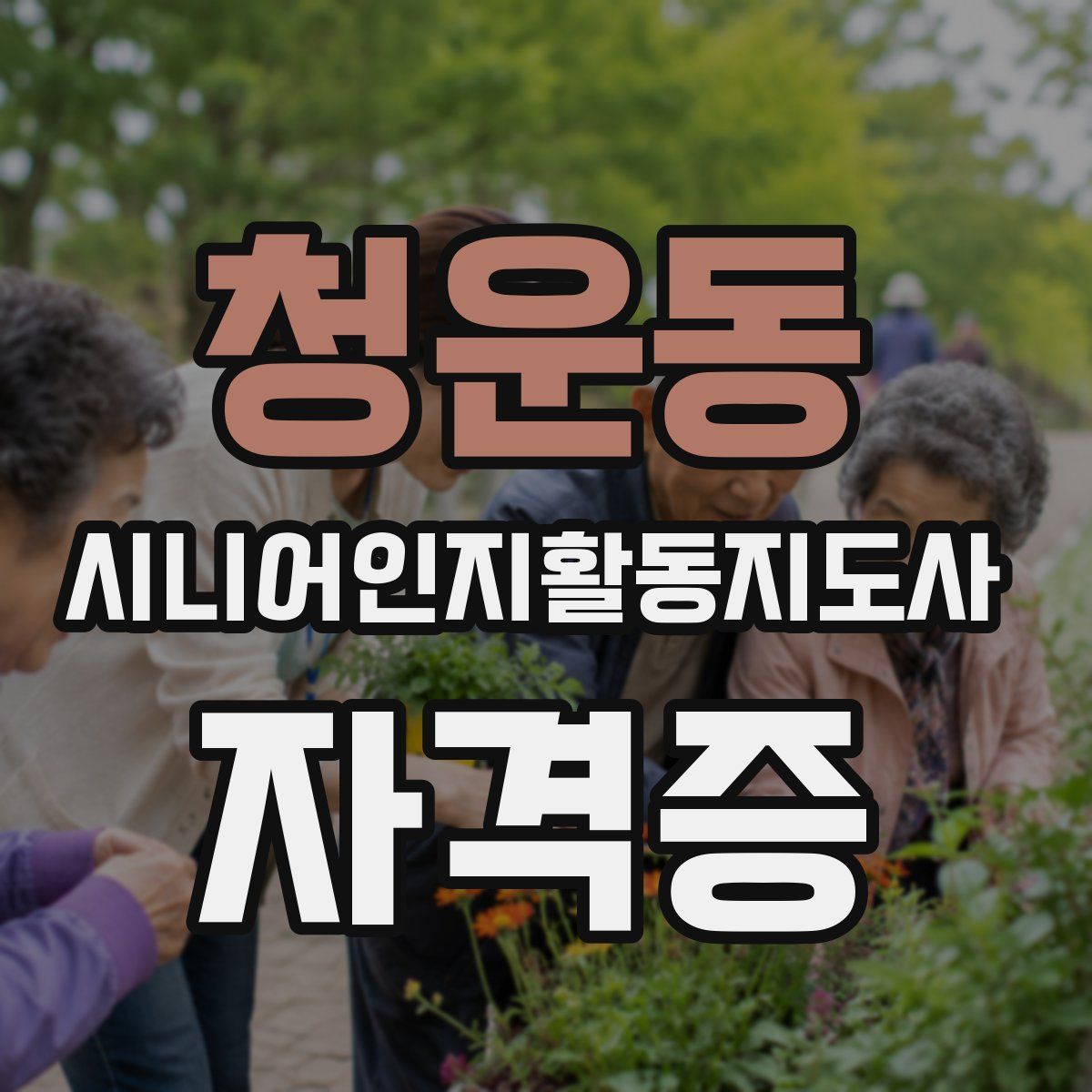 청운동 시니어인지활동지도사 자격증