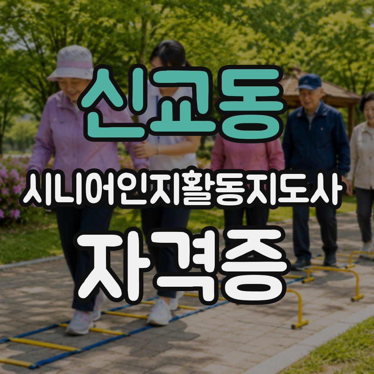 신교동 시니어인지활동지도사 자격증