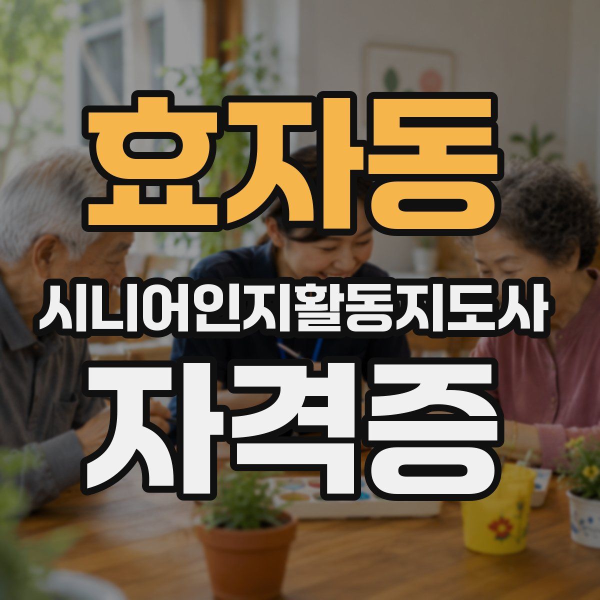 효자동 시니어인지활동지도사 자격증