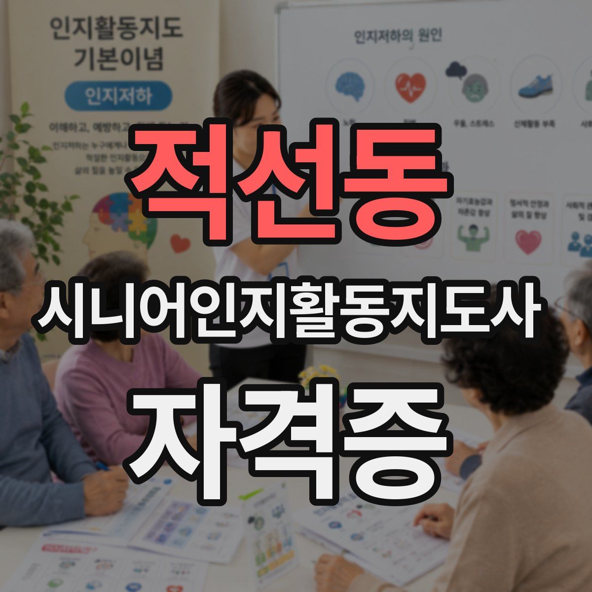적선동 시니어인지활동지도사 자격증