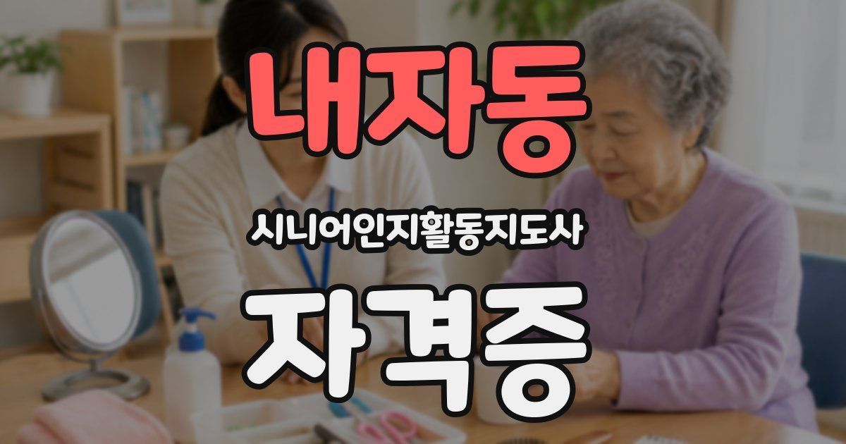 내자동 시니어인지활동지도사 자격증