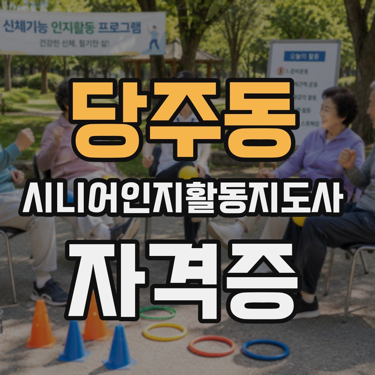 당주동 시니어인지활동지도사 자격증