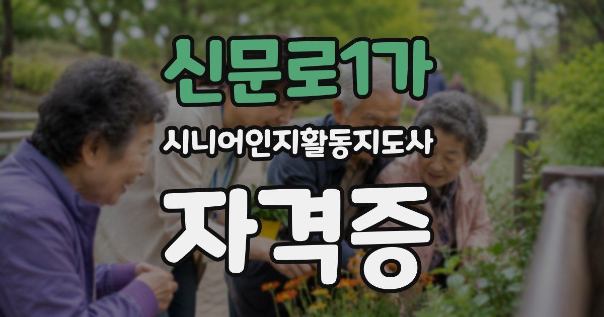 신문로1가 시니어인지활동지도사 자격증