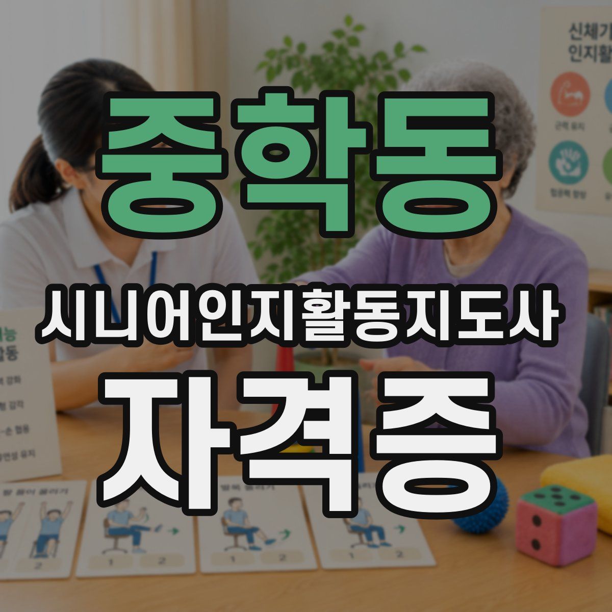 중학동 시니어인지활동지도사 자격증