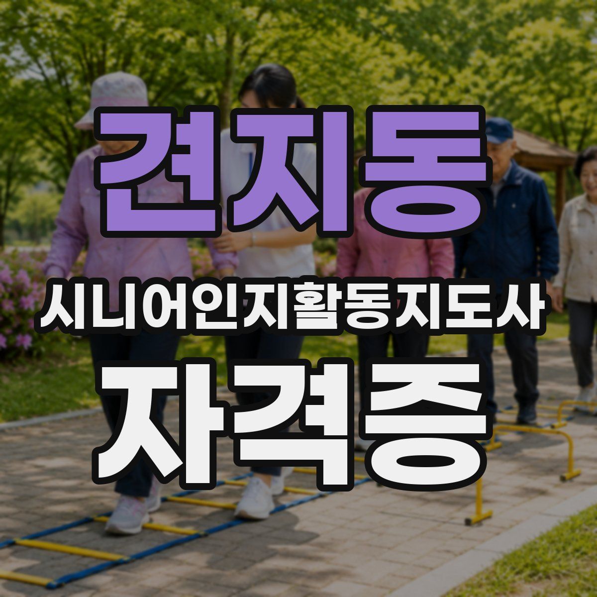 견지동 시니어인지활동지도사 자격증