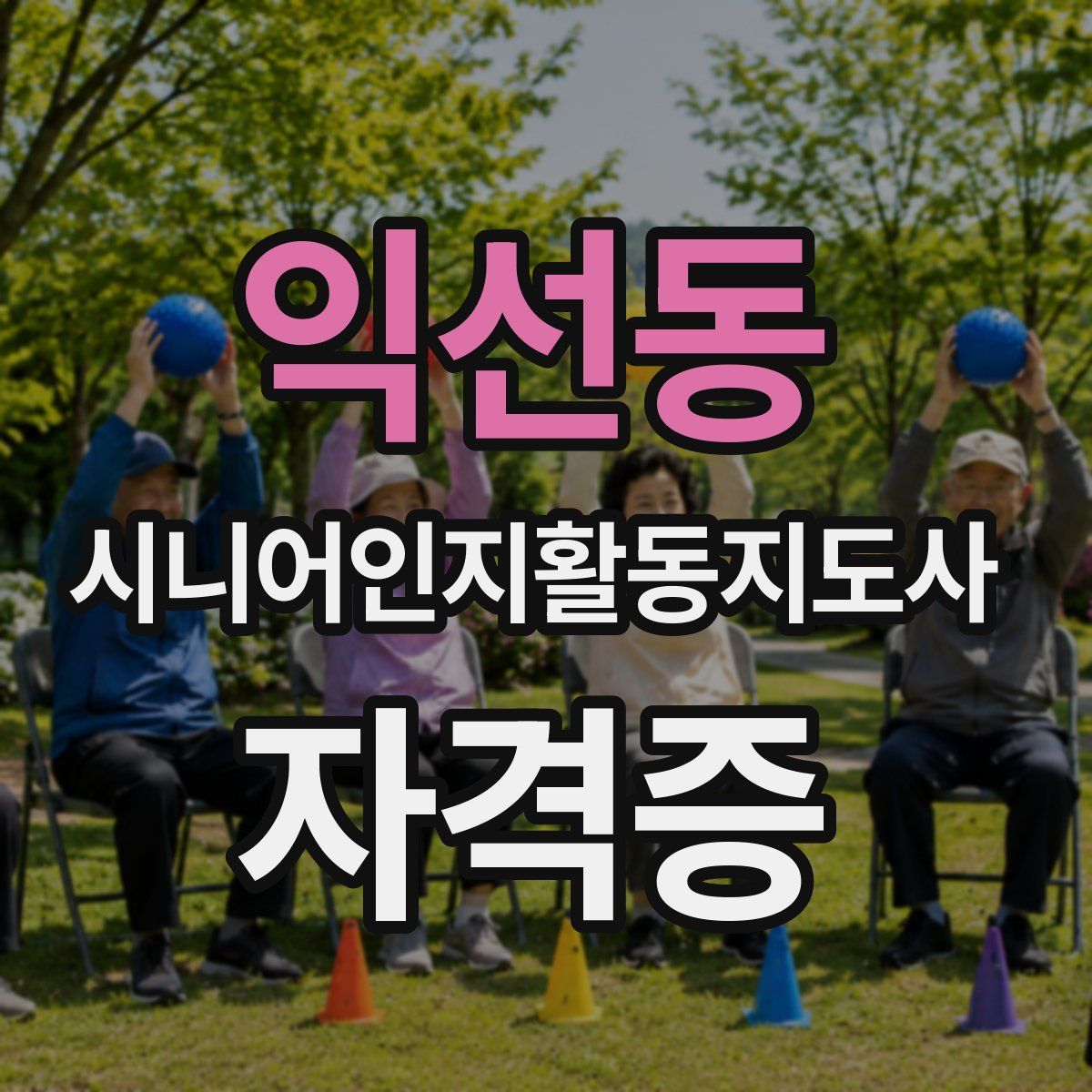익선동 시니어인지활동지도사 자격증